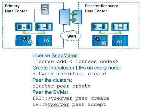 netapp dr snap mirror.